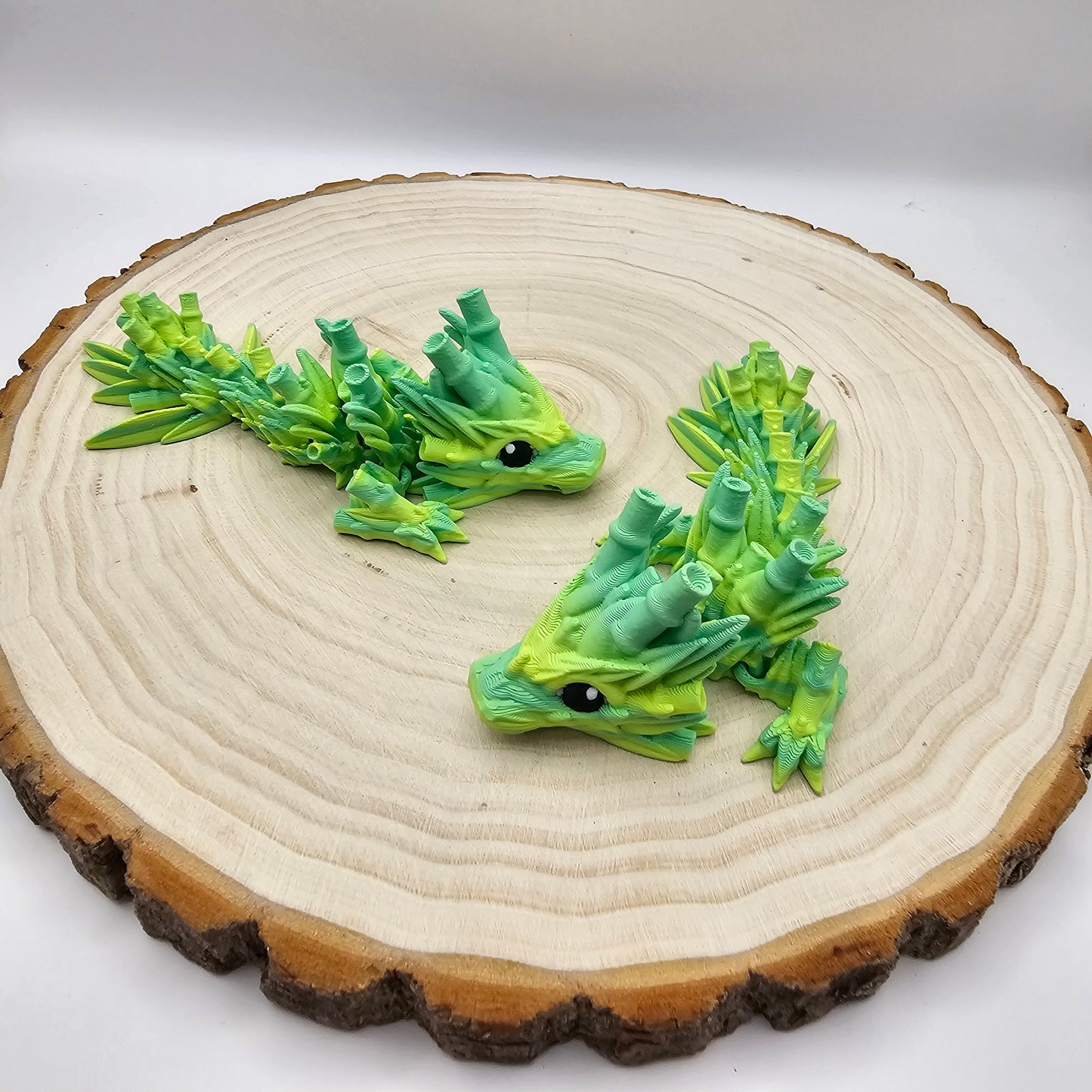 Dragon tadlings