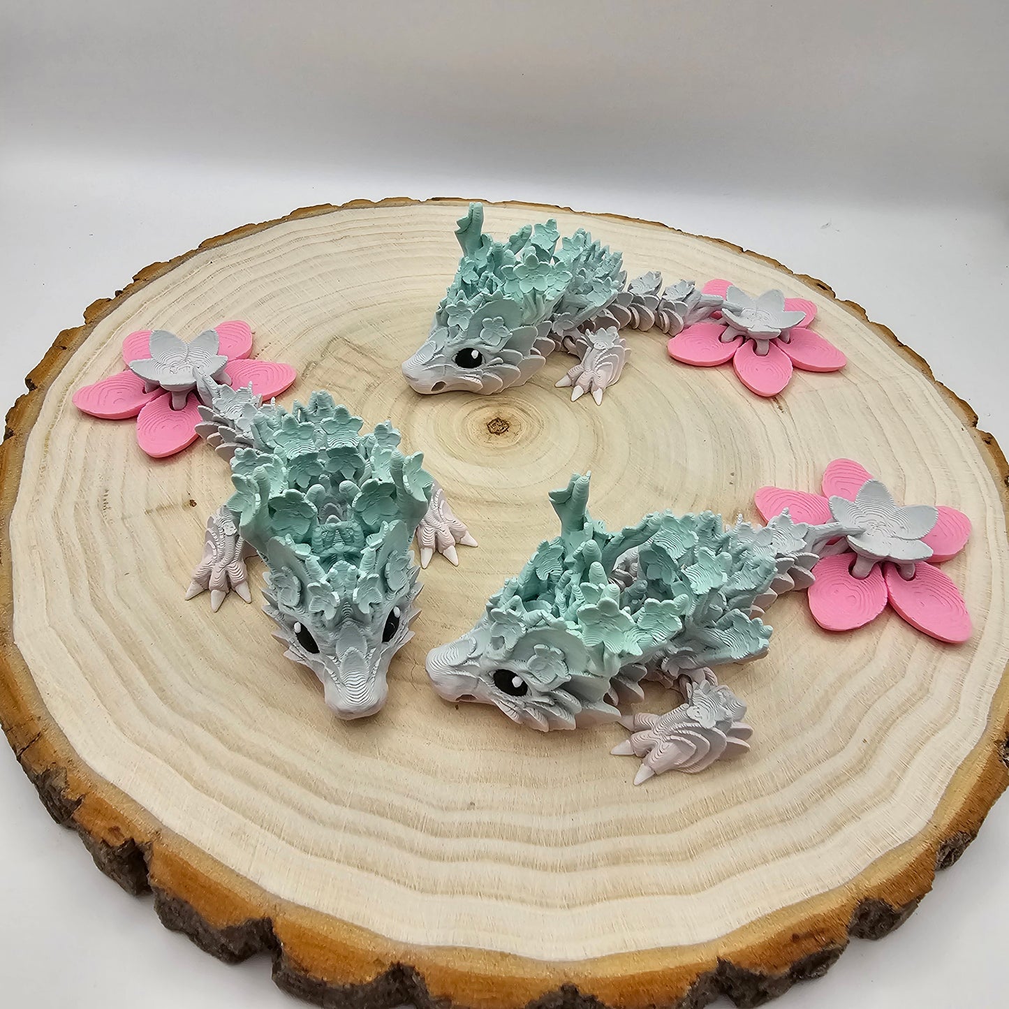 Dragon tadlings