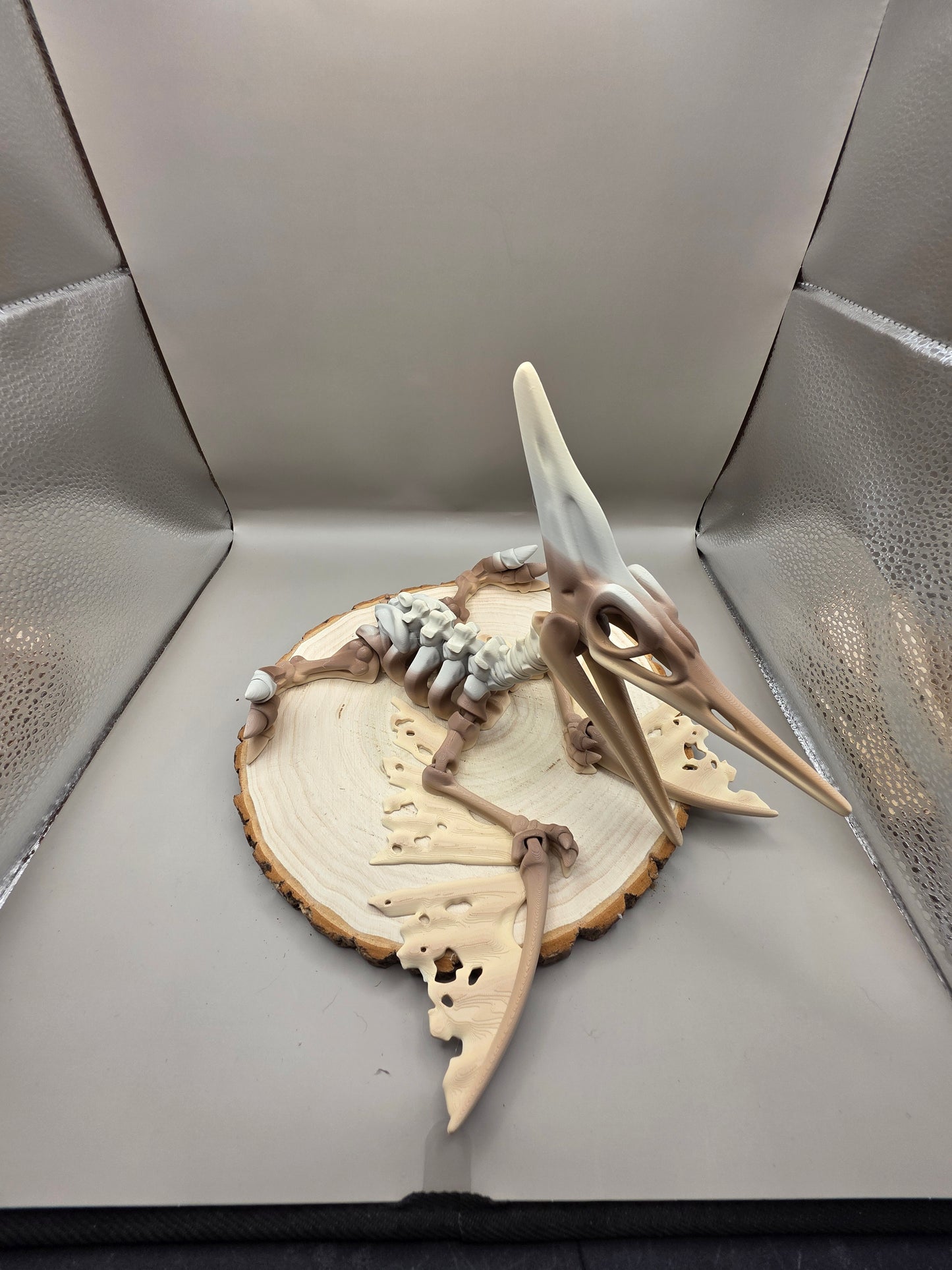 3D Printed Articulated Pteranodon Skeleton