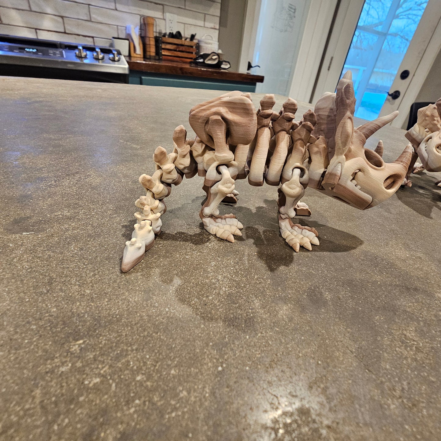 3d printed flexi Triceratops