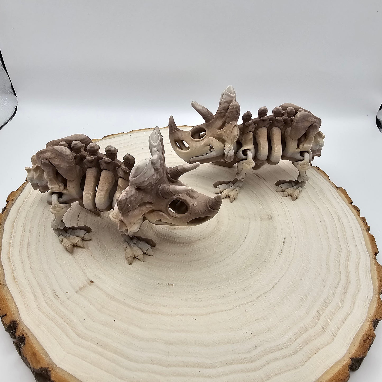 3d printed flexi Triceratops