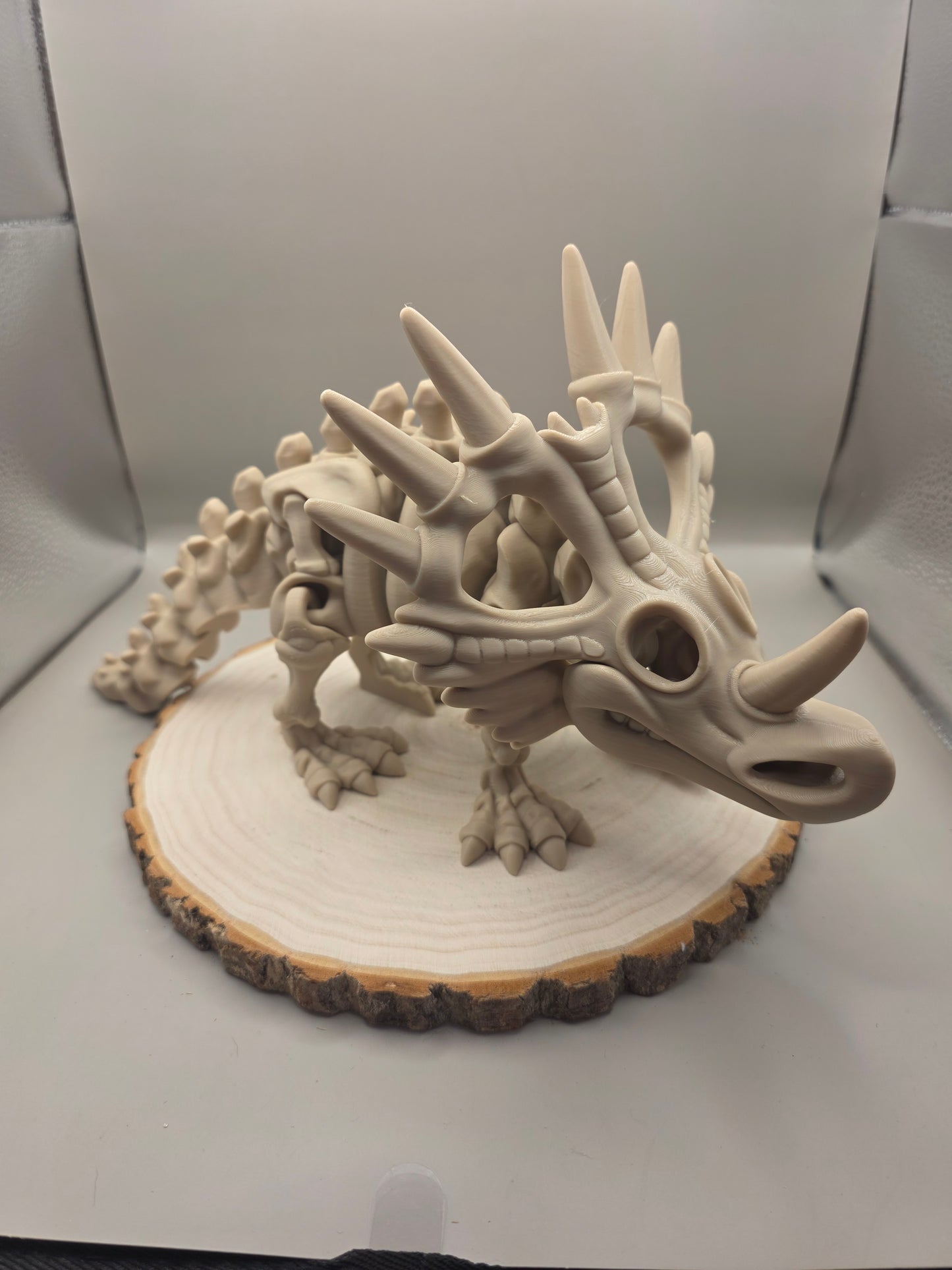 3d printed flexi Styracosaurus skeleton