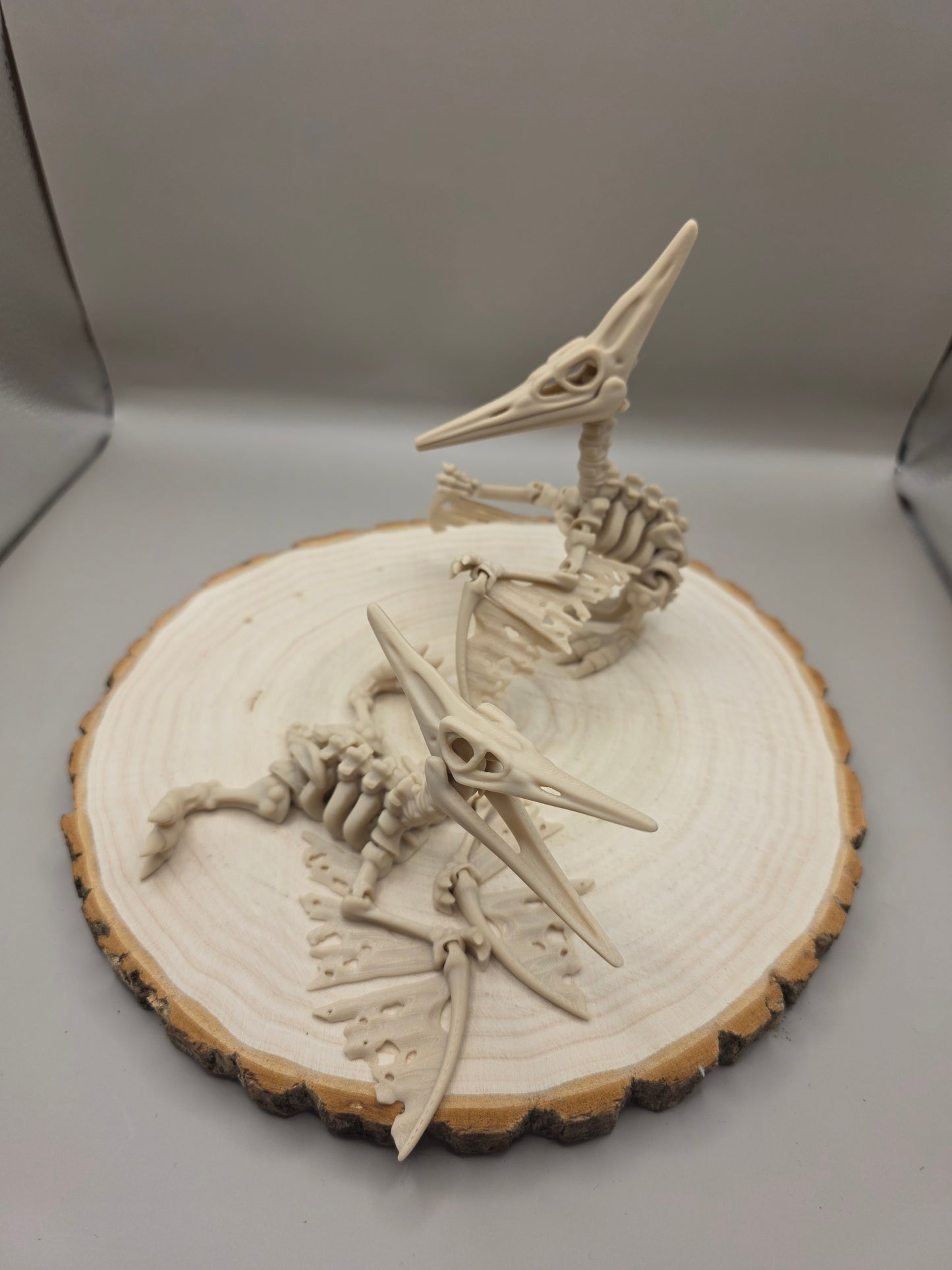 3D Printed Articulated Pteranodon Skeleton