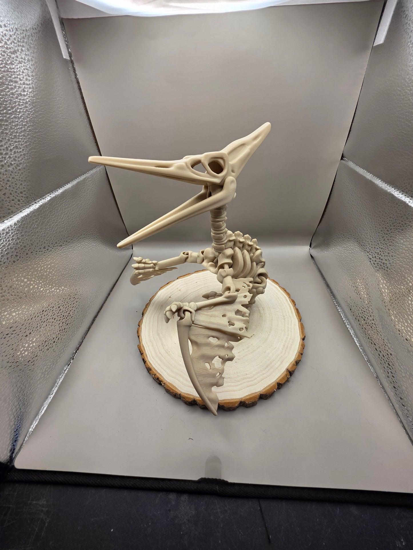3D Printed Articulated Pteranodon Skeleton