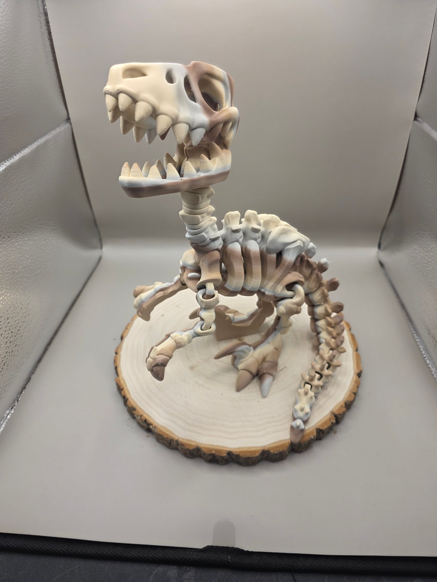 3d printed flexi Raptor skeleton