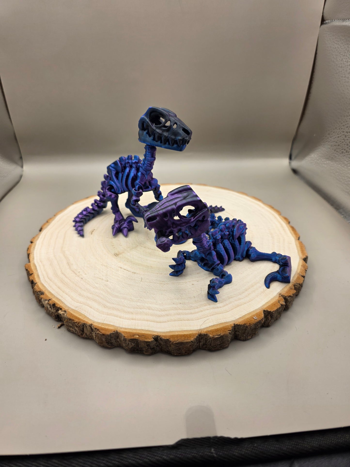 3d printed flexi Raptor skeleton