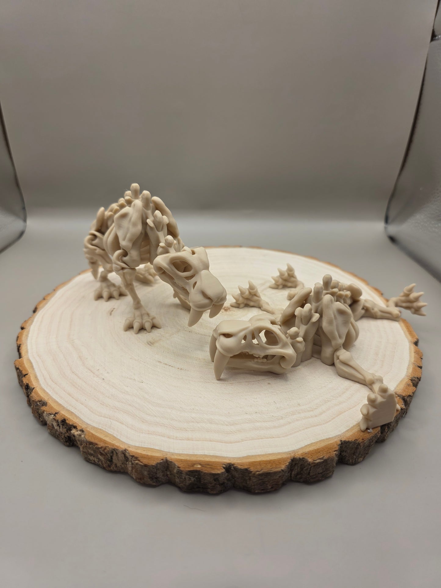 3d printed flexi Saber Tooth Tiger skeleton