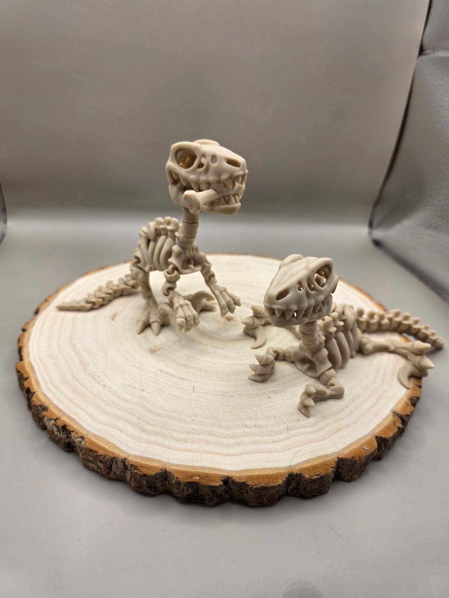3d printed flexi Raptor skeleton